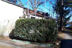IMG-20240224-WA0035