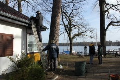 20260329_Fruehjahrsputz_08