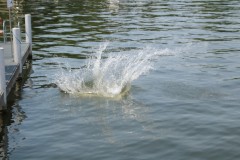 VSW_Schuelerwettfahrt_Tag02_2026_0154